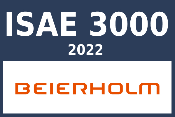 Sharesafe isae3000 erklæring